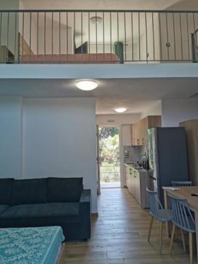 Irinishouse 5